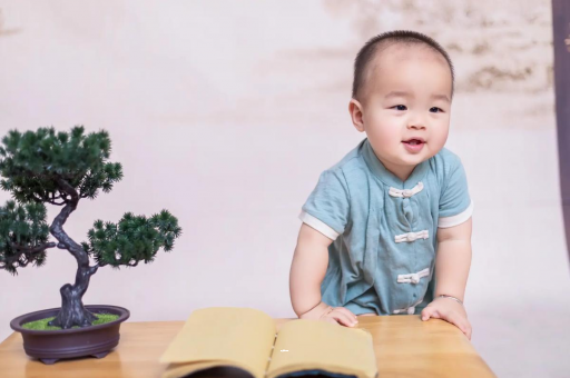 西双版纳可爱的企鹅宝宝